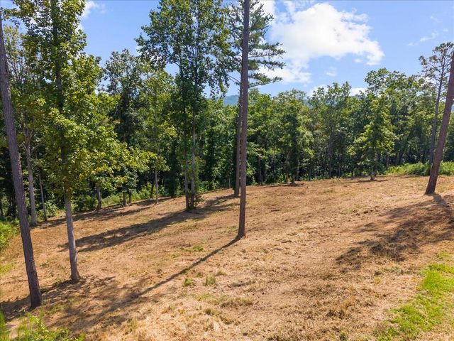 Lot 339 Timber Creek Trail, Talking Rock, GA 30175