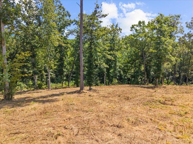 Lot 339 Timber Creek Trail, Talking Rock, GA 30175