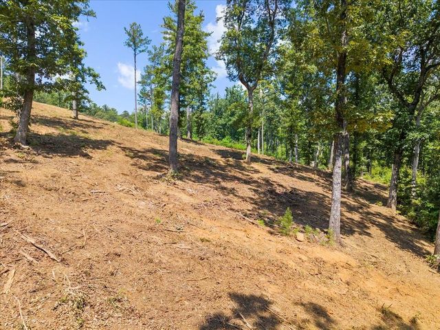 Lot 339 Timber Creek Trail, Talking Rock, GA 30175