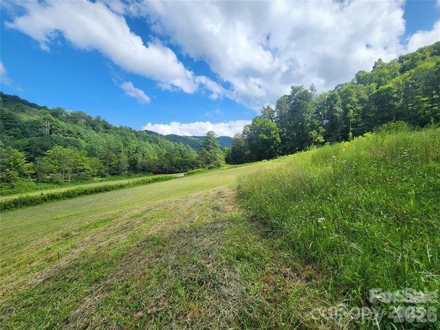 5570 Meadow Fork Road, Hot Springs, NC 28743