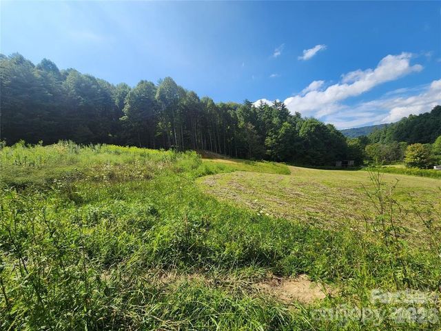 5570 Meadow Fork Road, Hot Springs, NC 28743