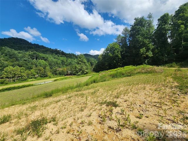 5570 Meadow Fork Road, Hot Springs, NC 28743