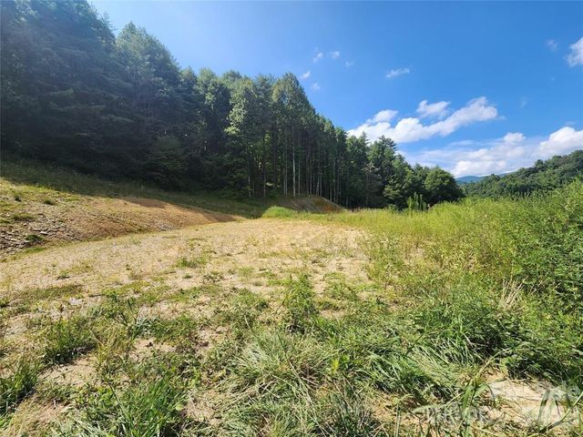 5570 Meadow Fork Road, Hot Springs, NC 28743