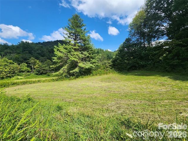 5570 Meadow Fork Road, Hot Springs, NC 28743