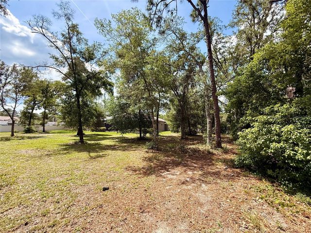 13110 BAMBOO STREET, Spring Hill, FL 34609