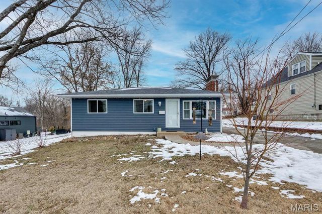 203 Almentor Avenue, St Louis, MO 63119