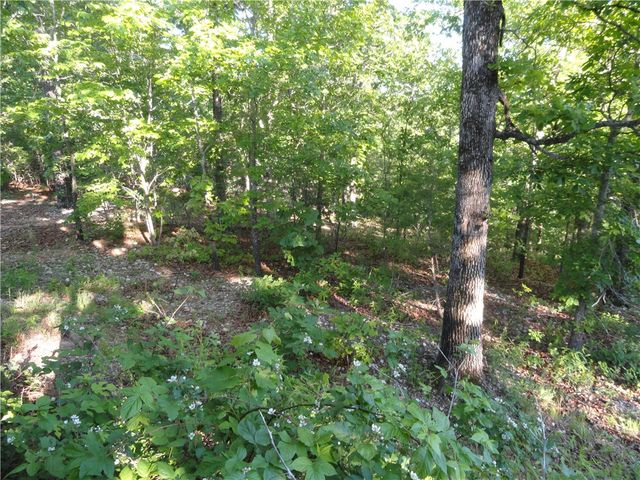 434 Fallen Tree Road, Marshall, AR 72650