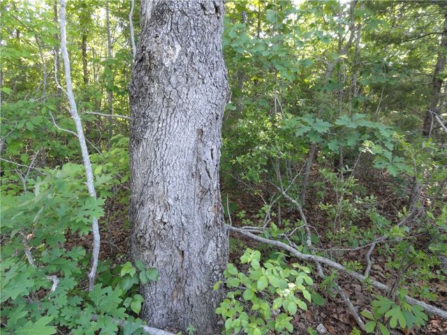 434 Fallen Tree Road, Marshall, AR 72650