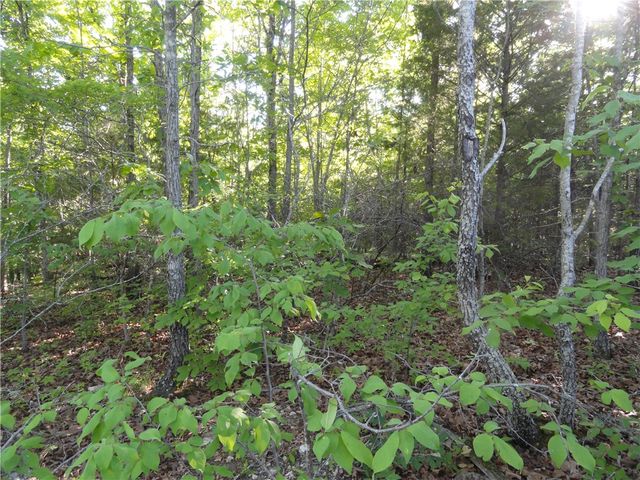 434 Fallen Tree Road, Marshall, AR 72650