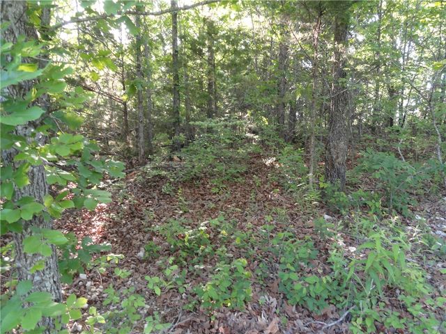 434 Fallen Tree Road, Marshall, AR 72650