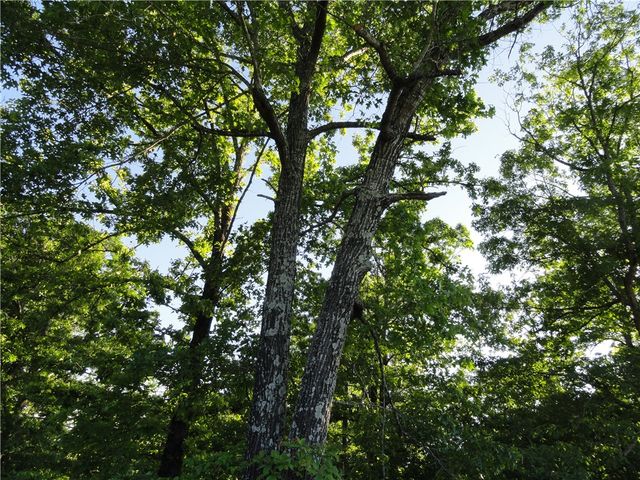 434 Fallen Tree Road, Marshall, AR 72650