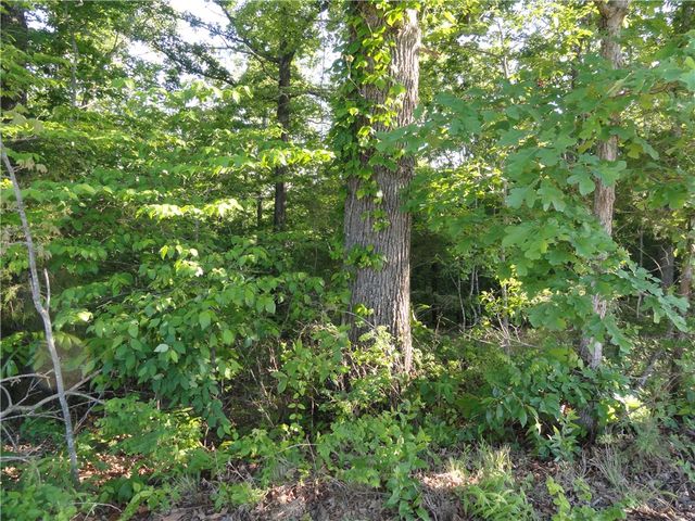 434 Fallen Tree Road, Marshall, AR 72650