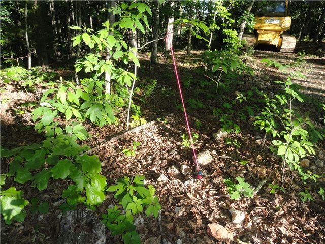 434 Fallen Tree Road, Marshall, AR 72650