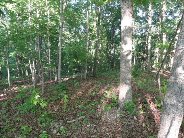 434 Fallen Tree Road, Marshall, AR 72650
