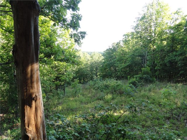 434 Fallen Tree Road, Marshall, AR 72650