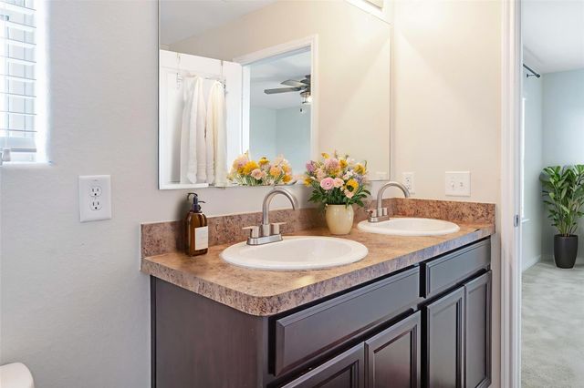 10011 Orchid Spring Lane, Houston, TX 77044