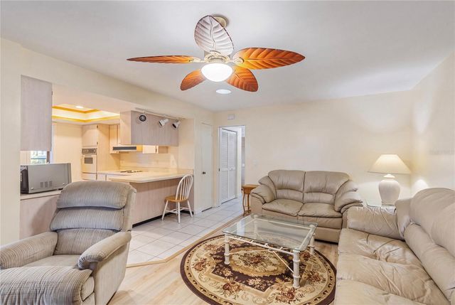 1081 MCFARLAND STREET, Dunedin, FL 34698