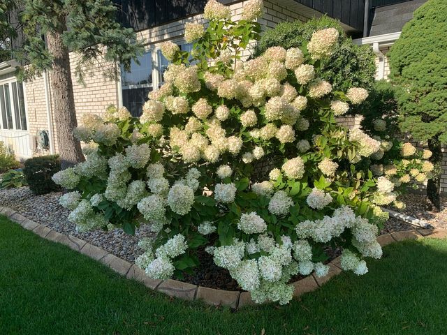 11216 85th Place, Willow Springs, IL 60480