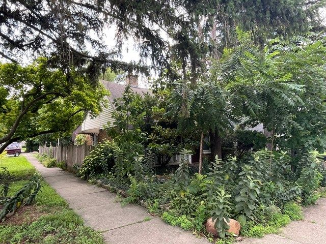 7825 41st Place, Lyons, IL 60534