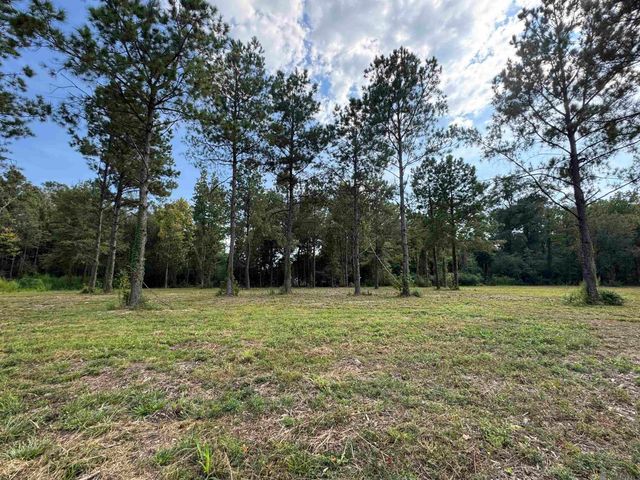 Tract D La Hwy 16, Denham Springs, LA 70706