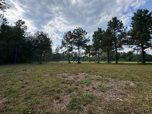 Tract D La Hwy 16, Denham Springs, LA 70706