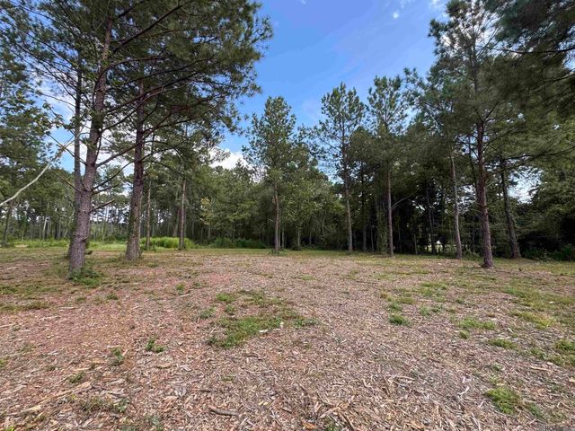 Tract D La Hwy 16, Denham Springs, LA 70706