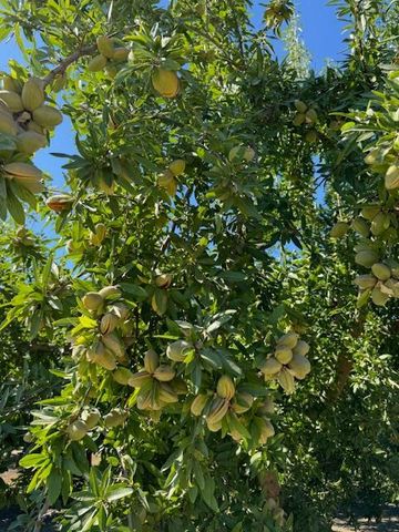 2202 W Lincoln Avenue, Fresno, CA 93706