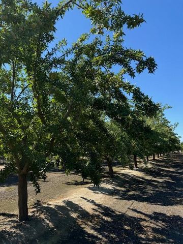 2202 W Lincoln Avenue, Fresno, CA 93706