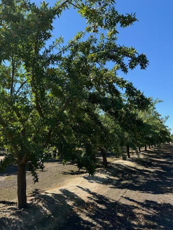 Image 42 of property listing at 2202 W Lincoln Avenue, Fresno, CA 93706