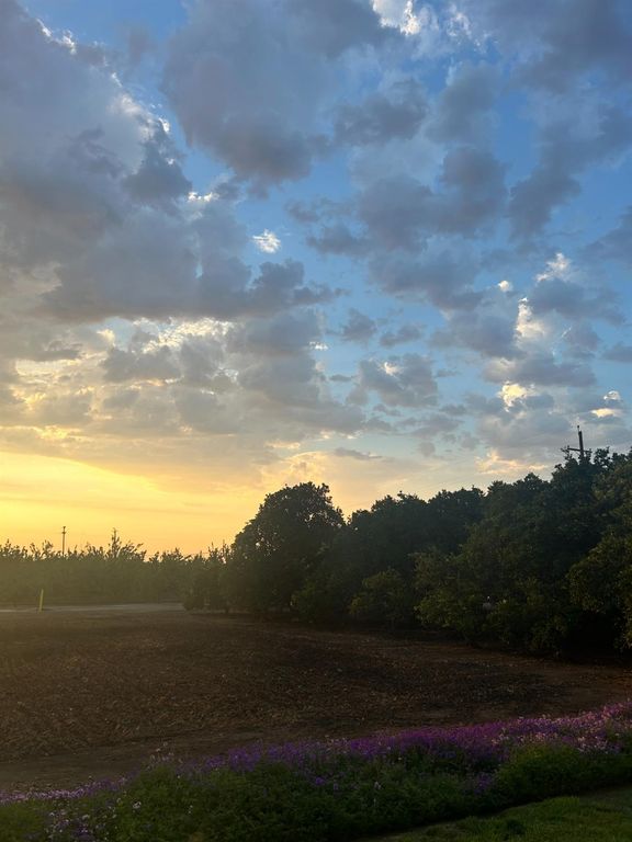 Image 66 of property listing at 2202 W Lincoln Avenue, Fresno, CA 93706