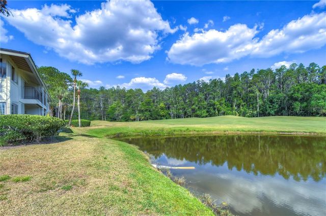 29300 BAY HOLLOW DRIVE 3258, Wesley Chapel, FL 33543