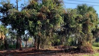 22394 Peachland BOULEVARD, Port Charlotte, FL 33954