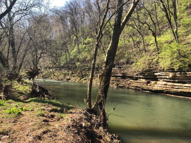 1725 Rains Rd, Clarksville, TN 37042