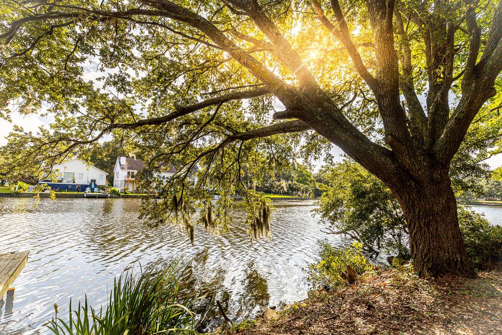 713 Lake Frances Drive, Charleston, SC 29412