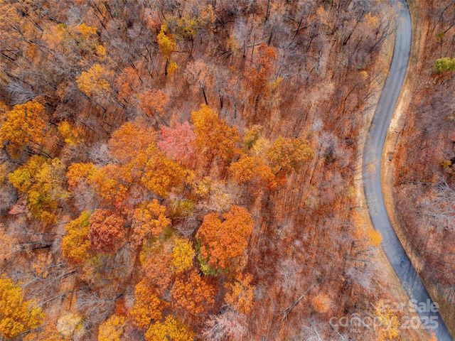 Lot 2110 Harm Creek Loop, Mill Spring, NC 28756