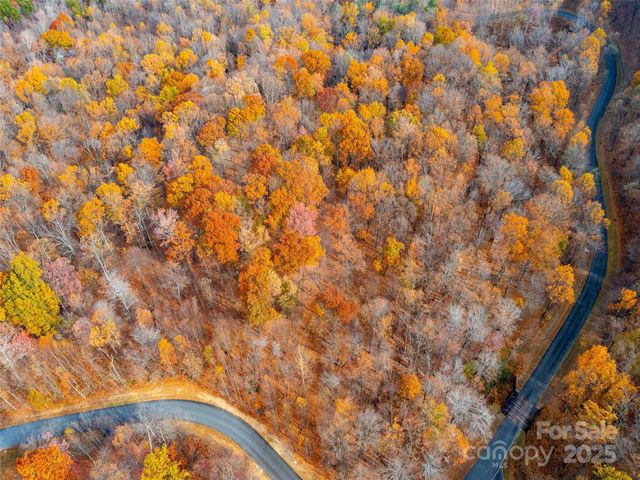 Lot 2110 Harm Creek Loop, Mill Spring, NC 28756