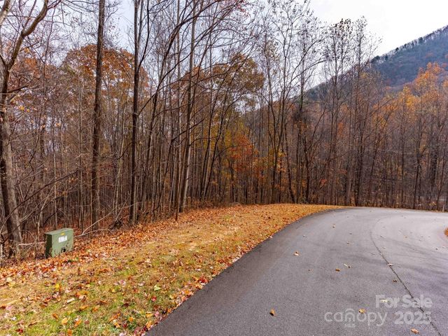 Lot 2110 Harm Creek Loop, Mill Spring, NC 28756
