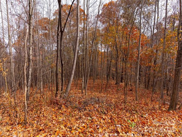 Lot 2110 Harm Creek Loop, Mill Spring, NC 28756