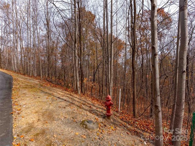 Lot 2110 Harm Creek Loop, Mill Spring, NC 28756