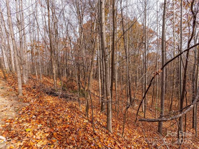 Lot 2110 Harm Creek Loop, Mill Spring, NC 28756