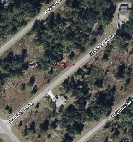 33 SEQUOIA DRIVE LANE, Ocklawaha, FL 32179