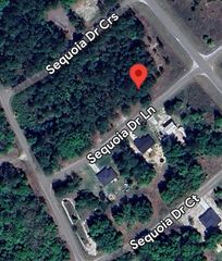 33 SEQUOIA DRIVE LANE, Ocklawaha, FL 32179