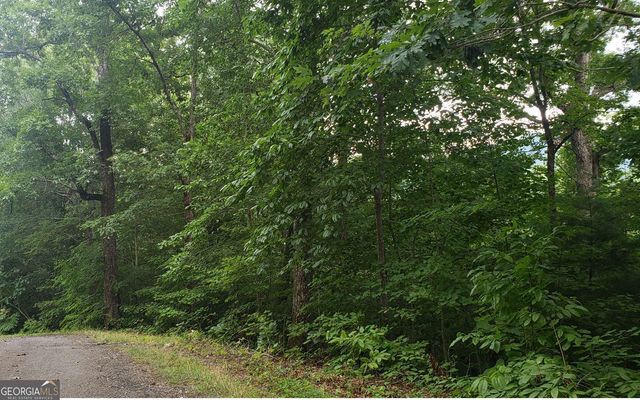 0 Clark Drive, Hiawassee, GA 30546