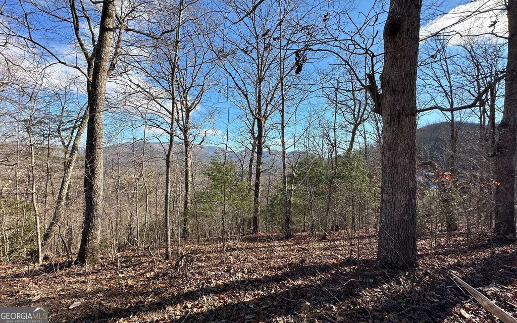 0 Clark Drive, Hiawassee, GA 30546