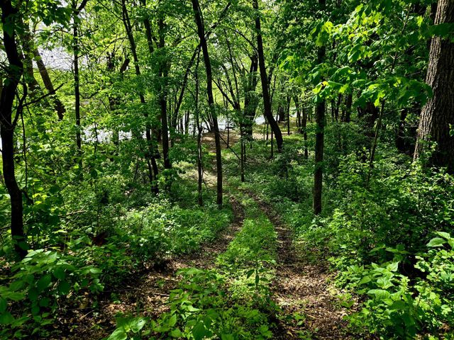 5751 16th Avenue SE, Haven Twp, MN 56304