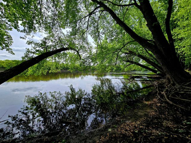 5751 16th Avenue SE, Haven Twp, MN 56304