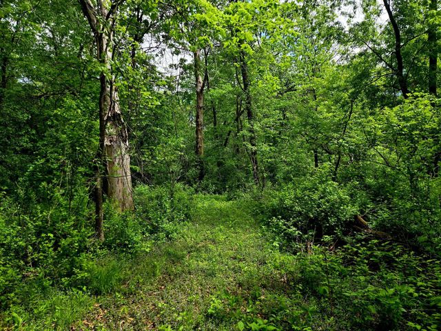 5751 16th Avenue SE, Haven Twp, MN 56304
