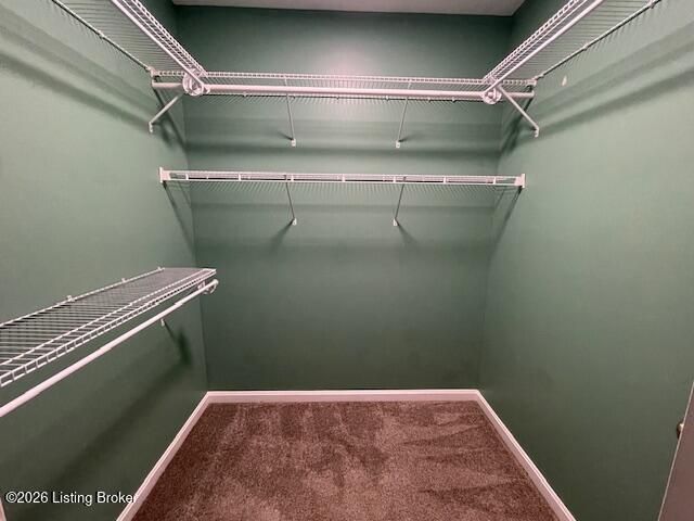 9502 Magnolia Ridge Dr 103, Louisville, KY 40291