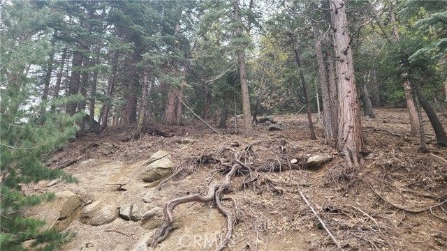 60 Lausanne Drive, Crestline, CA 92325