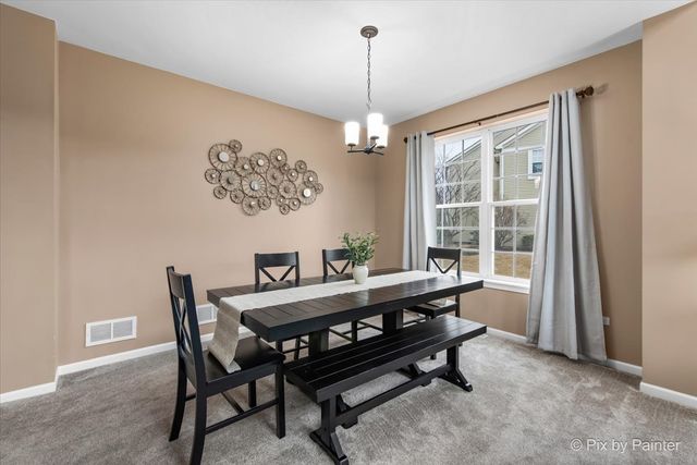 26428 Rustling Birch Way, Plainfield, IL 60585